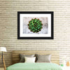 Grunge Succulent Wall Art