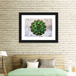 Grunge Succulent Wall Art