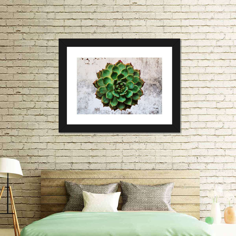 Grunge Succulent Wall Art