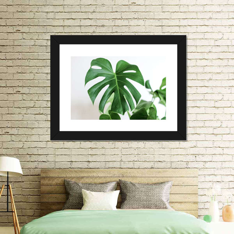 Monstera Leaf Wall Art