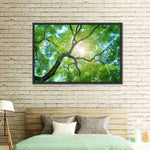 Tree Canopy Sunshine Wall Art