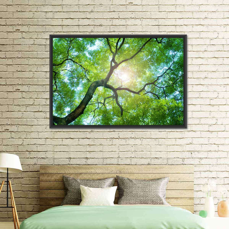 Tree Canopy Sunshine Wall Art