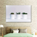 Three Succulents Wall Art