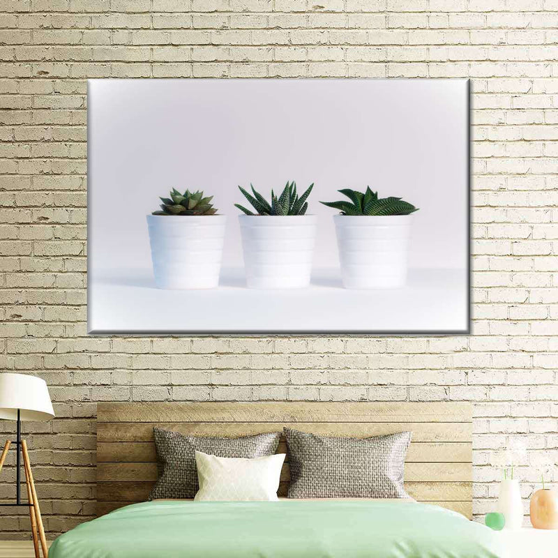 Three Succulents Wall Art