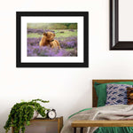 Highland Cow Paradise Wall Art
