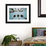 Plane Below Palm Trees Wall Art