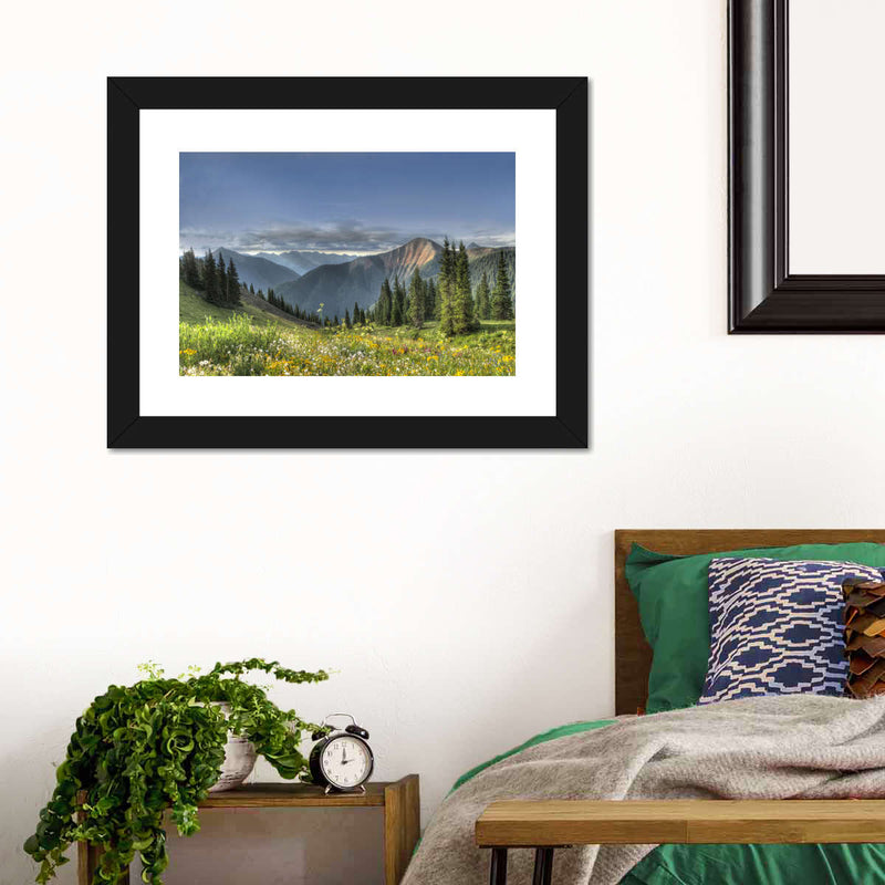 Rocky Mountain National Park Meadow Wall Art