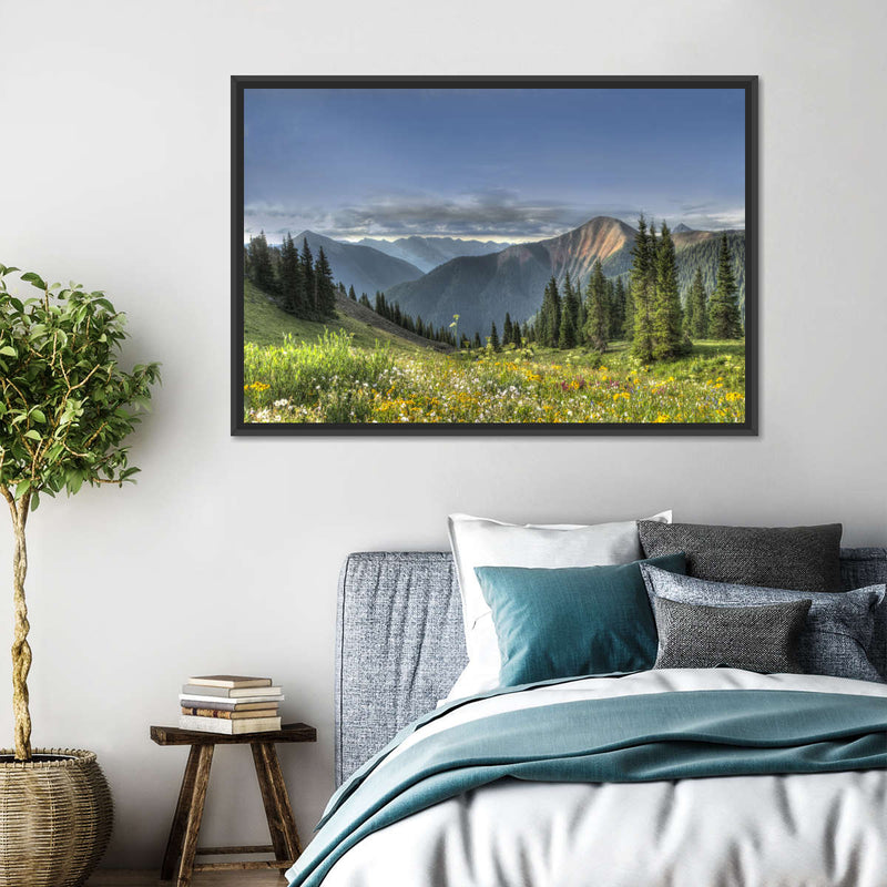 Rocky Mountain National Park Meadow Wall Art