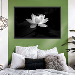 Lotus Flower Monochrome Wall Art