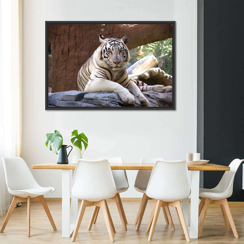 Resting White Tiger Wall Art