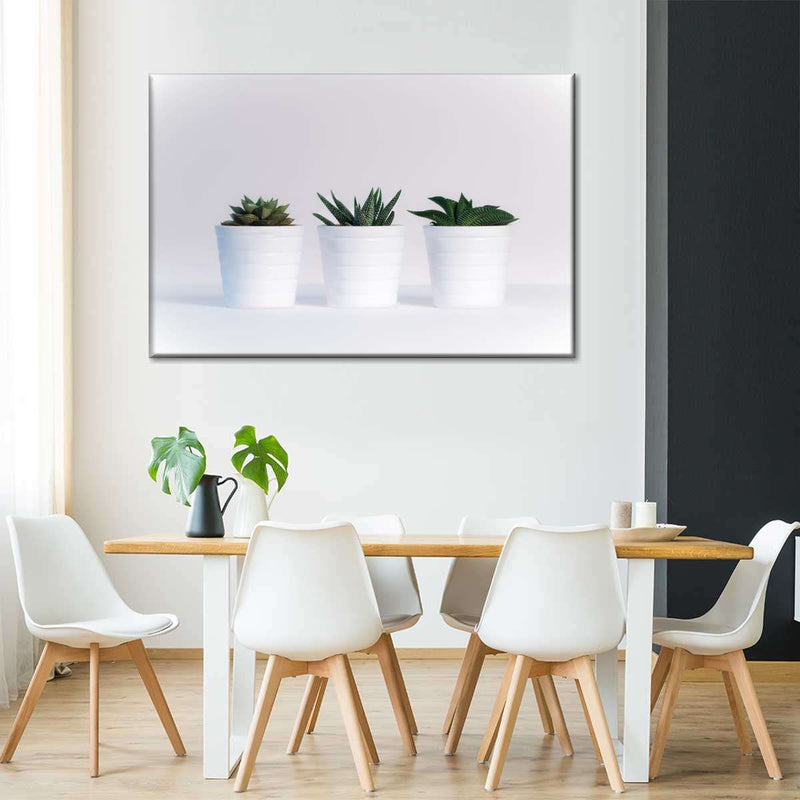 Three Succulents Wall Art