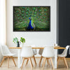 Peacock Feathers Wall Art