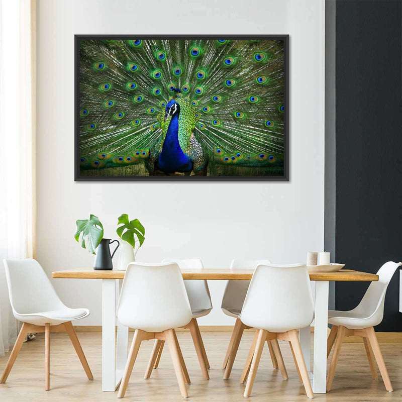 Peacock Feathers Wall Art