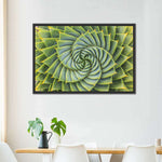 Spiral Succulent Wall Art