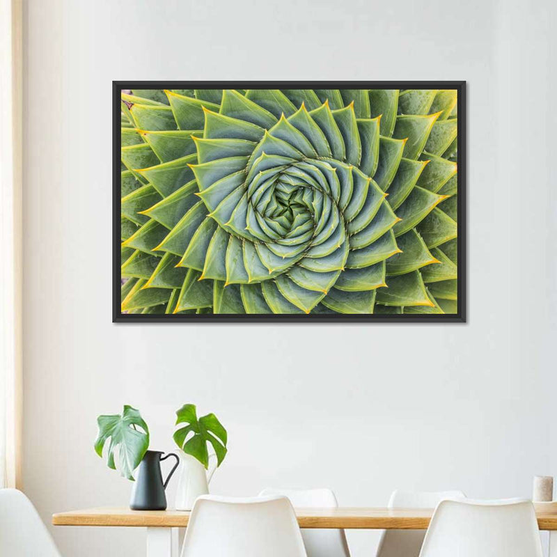 Spiral Succulent Wall Art