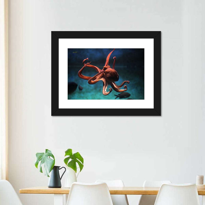 Octopus Vulgaris Wall Art