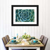 Live Succulent Wall Art