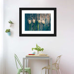 Pristine White Tulips Wall Art