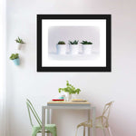 Three Succulents Wall Art