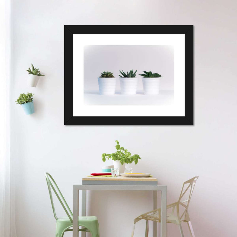 Three Succulents Wall Art