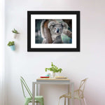 Happy Koala Wall Art