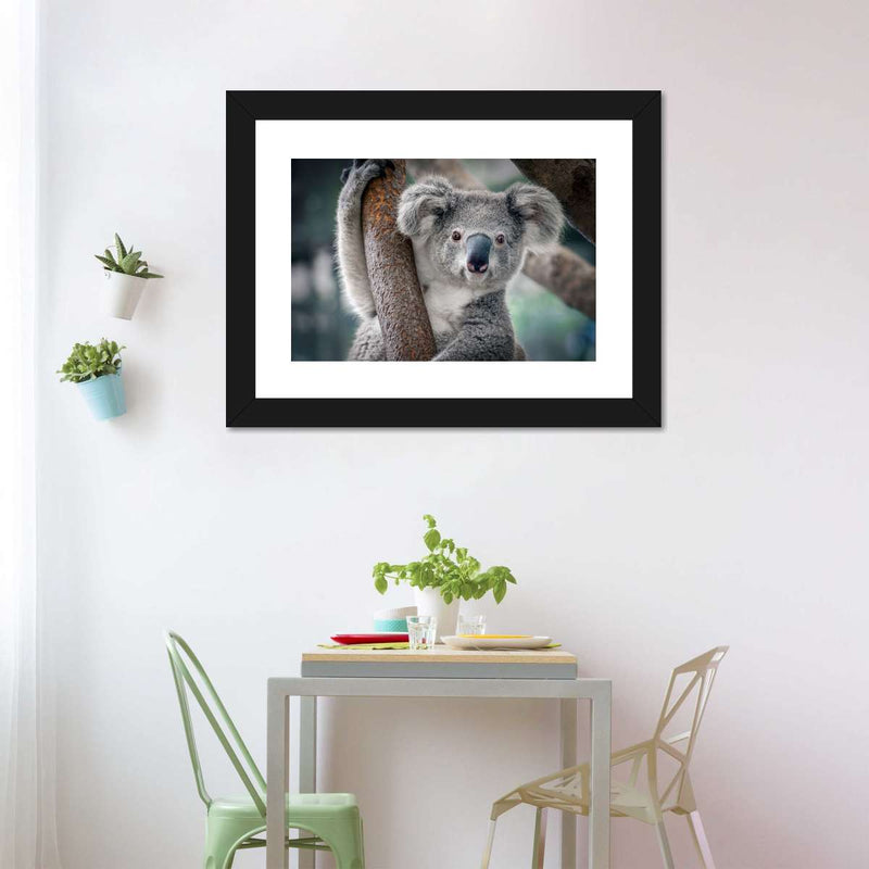 Happy Koala Wall Art