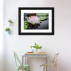 Pinkish White Lotus Wall Art