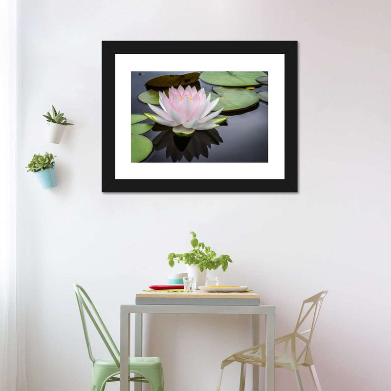 Pinkish White Lotus Wall Art