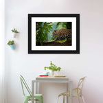 Sneaky Jaguar Wall Art