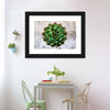 Grunge Succulent Wall Art