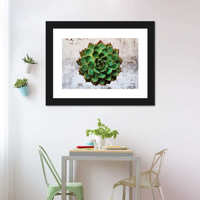 Grunge Succulent Wall Art