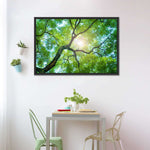 Tree Canopy Sunshine Wall Art