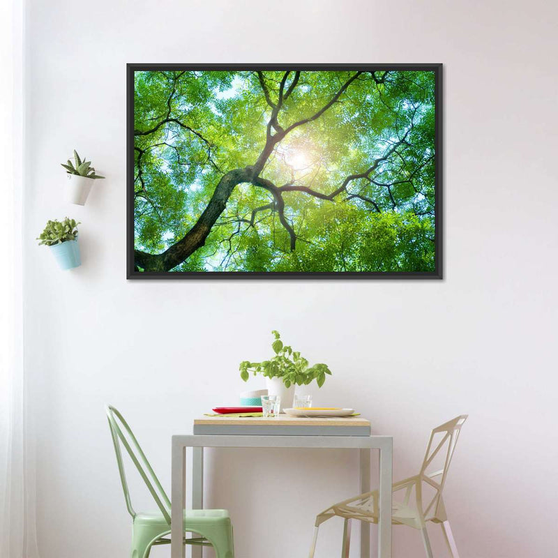 Tree Canopy Sunshine Wall Art