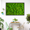 Green Reindeer Moss Wall Art