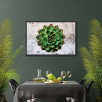 Grunge Succulent Wall Art