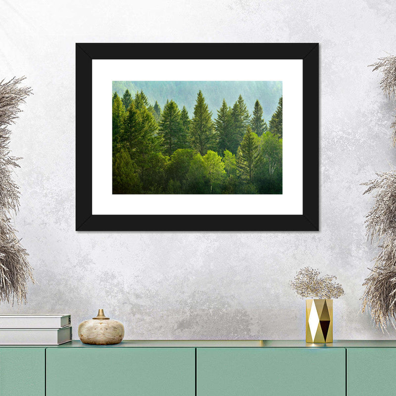 Lush Green Pine Trees Wall Art