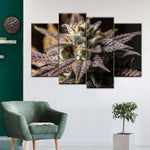 Marijuana In Winter Wall Art