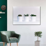 Three Succulents Wall Art
