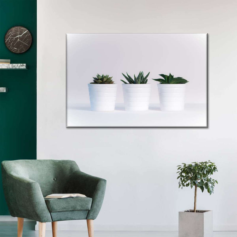 Three Succulents Wall Art
