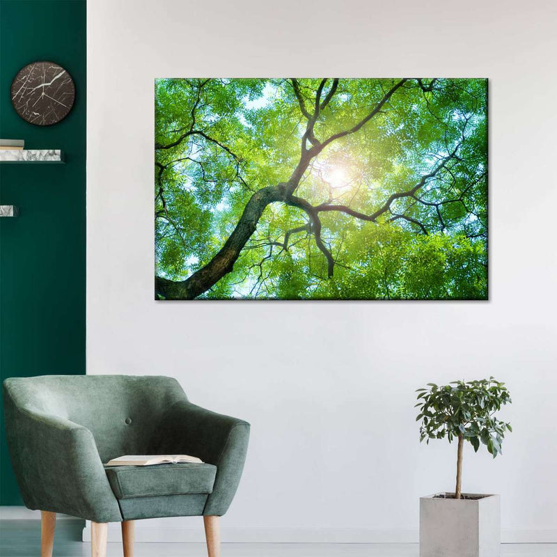 Tree Canopy Sunshine Wall Art