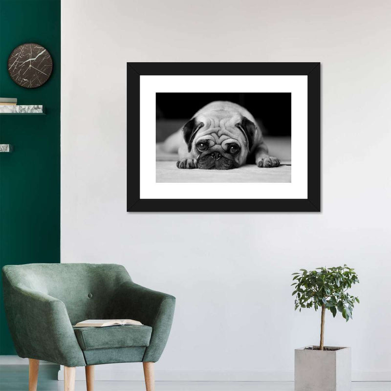 Sad Pug Wall Art