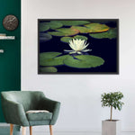Lotus And Leaves Wall Art
