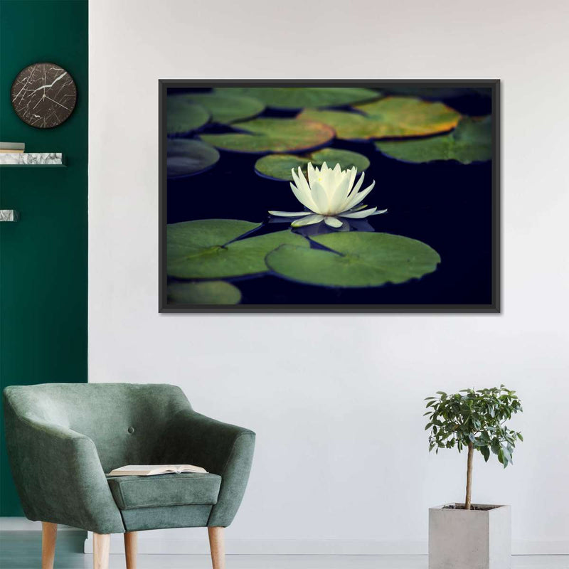 Lotus And Leaves Wall Art