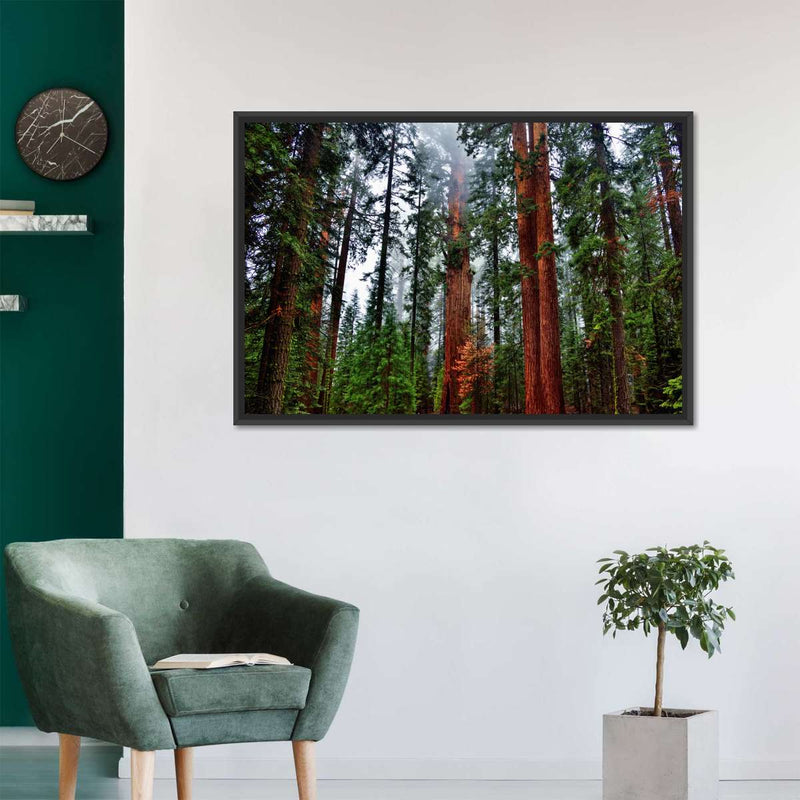 Vibrant Redwood Wall Art
