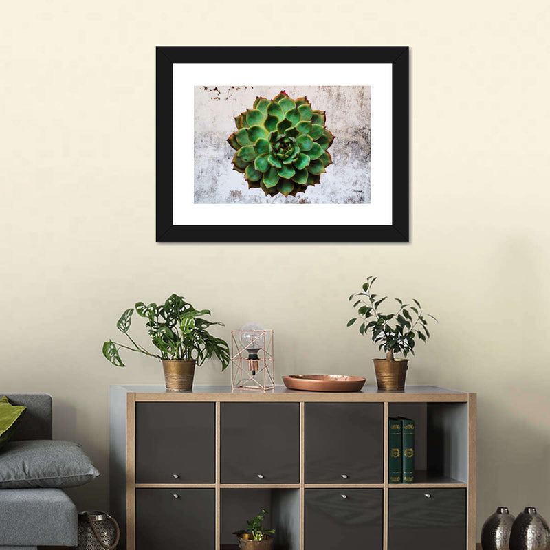 Grunge Succulent Wall Art