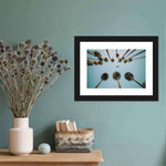 Plane Below Palm Trees Wall Art