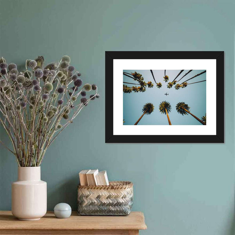 Plane Below Palm Trees Wall Art