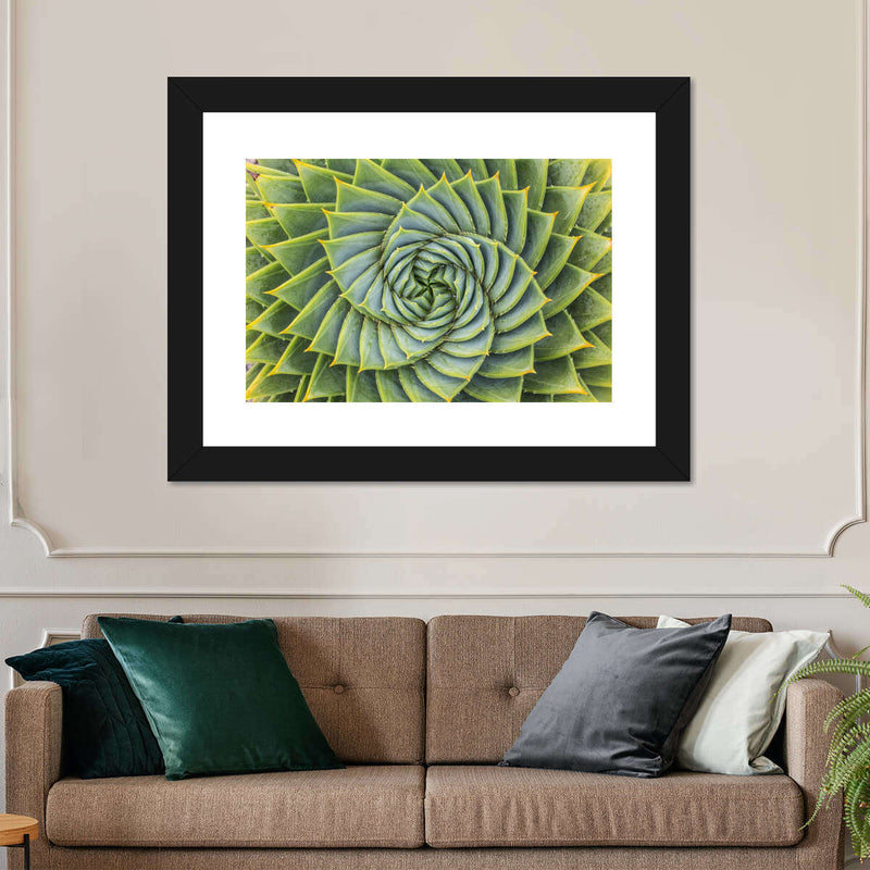 Spiral Succulent Wall Art