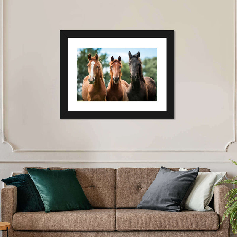 Young Horses Wall Art