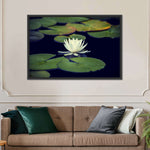 Lotus And Leaves Wall Art